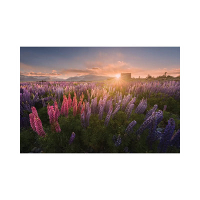 Spring In New Zealand IV by Daniel Kordan - Wrapped Canvas Gallery-Wrapped Canvas Giclée