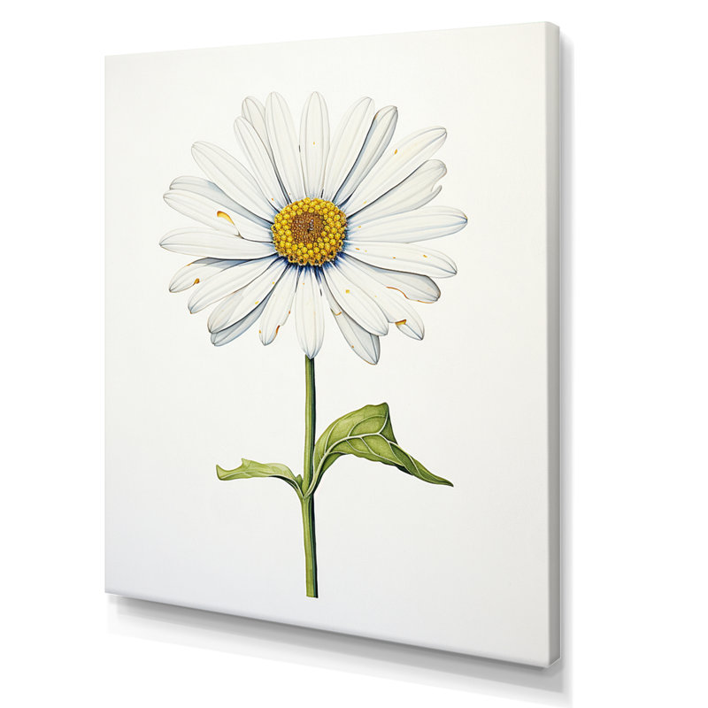 «White Daisies» Sublime Simplicity I - Art mural floral salon, Toile tendue, H 44 po x l 34 po x P 1,5 po