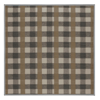 Machine Washable Checkered Gray Area Rug