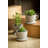 Abordale Statue Planter