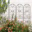 Treillis polyvalent en métal pour les plantes d'extérieur, rehaussant la beauté du jardin