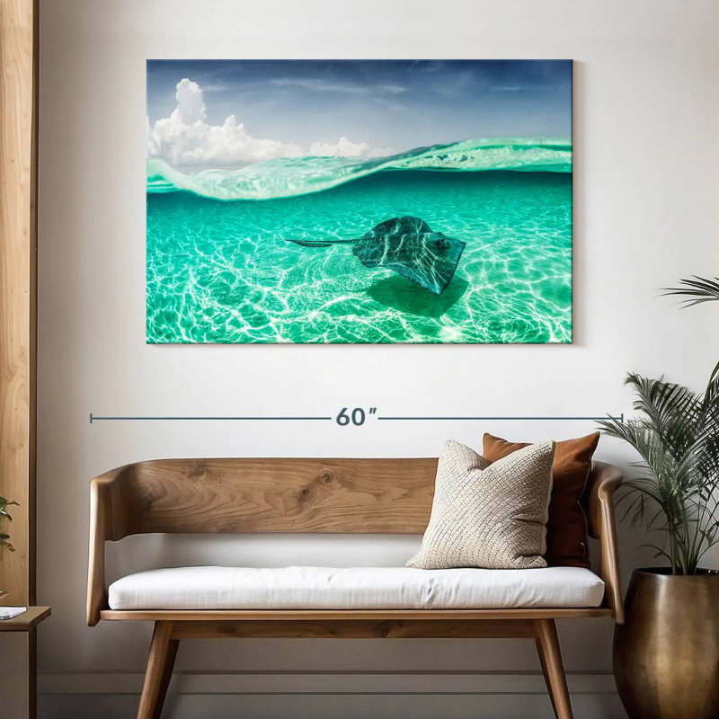 Brama Manta Ray sous l'eau, H 32 po x l 48 po