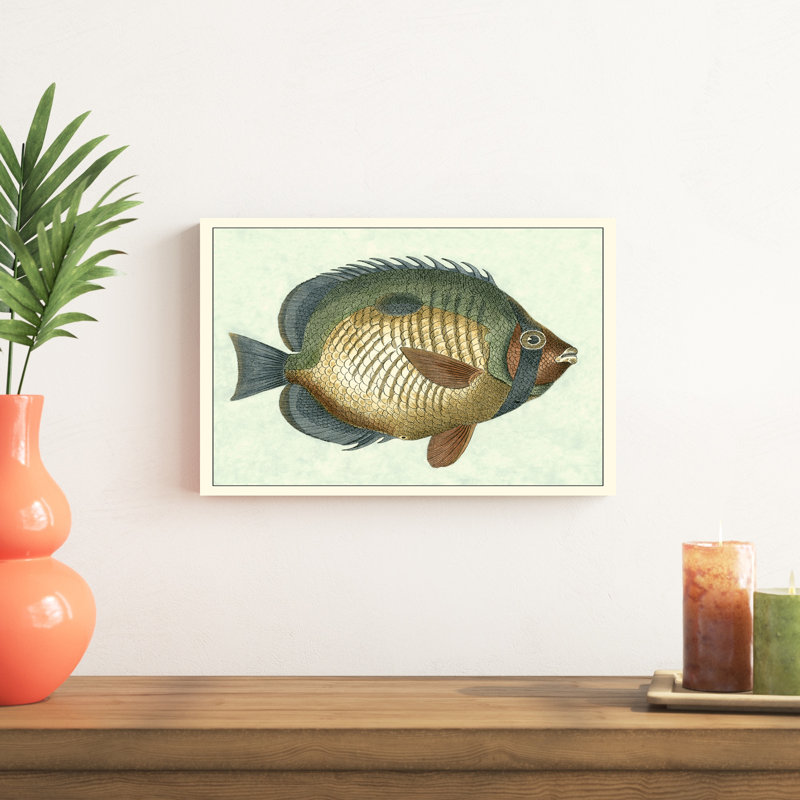 Papillon poisson I, H 12 po x l 18 po x P 1,25 po