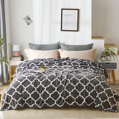 2021MayL0422 Plain Weave / Muslin Blanket