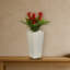 Triple broméliacées dans un pot à fleurs blanc-24745654-26161105