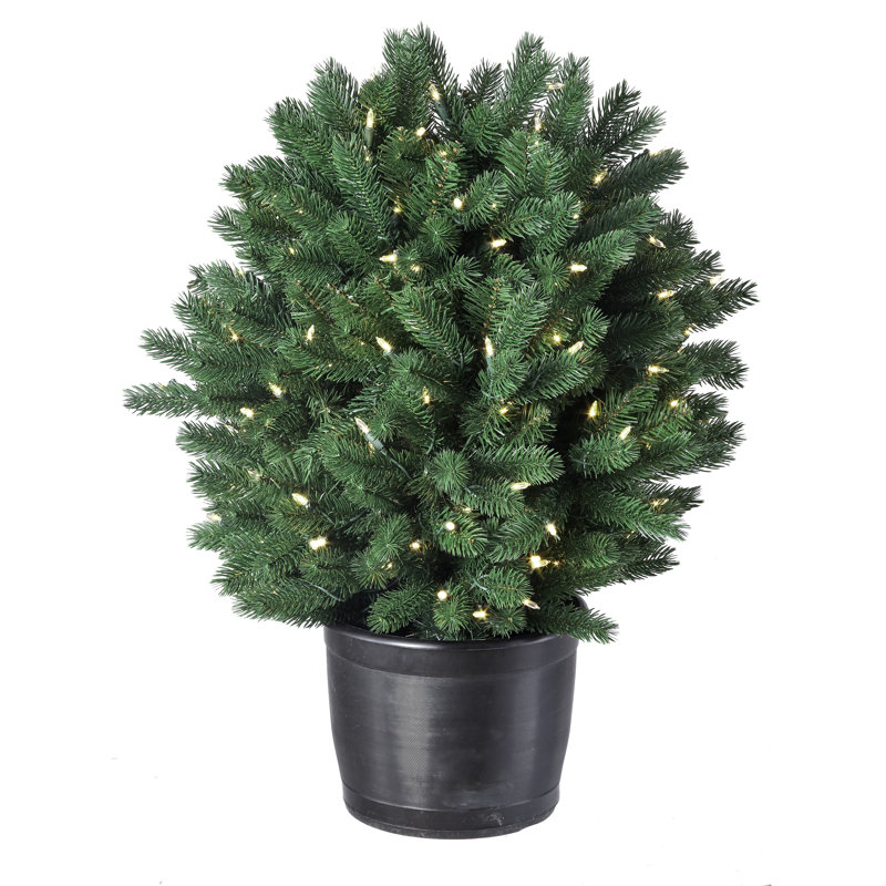 30' H Lighted Artificial Spruce Christmas Tree, 2'6" H