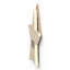Witch Its Just Hocus Pocus Wooden Star Plaque
