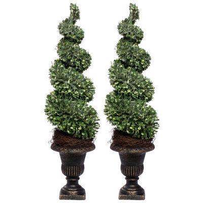 Spiral Topiary, 24 Inches