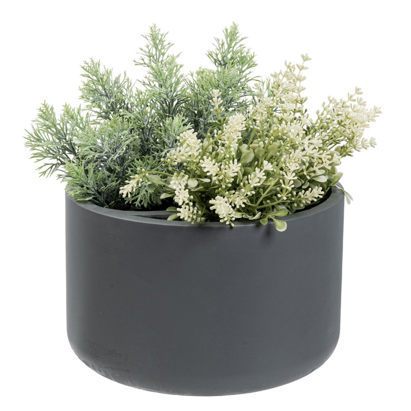 Indoor 8-Inch Concrete Flower Pot Planter, 13.8 cm H x 20.9 cm W x 20.9 cm D