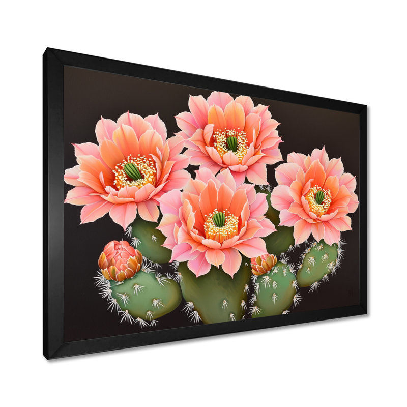 «Rose and Orange Cactus Bloom III - Floral Cactus», reproduction d'art murale, H 12 po x l 20 po, Noir