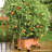 Lionnel Planter Box-1977765779