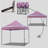 Commercial 10 Ft. W x 10 Ft. D Metal Pop-Up Canopy The Pop Up Canopies-126173144