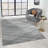 Drubin Abstract Indoor Rug-816597553