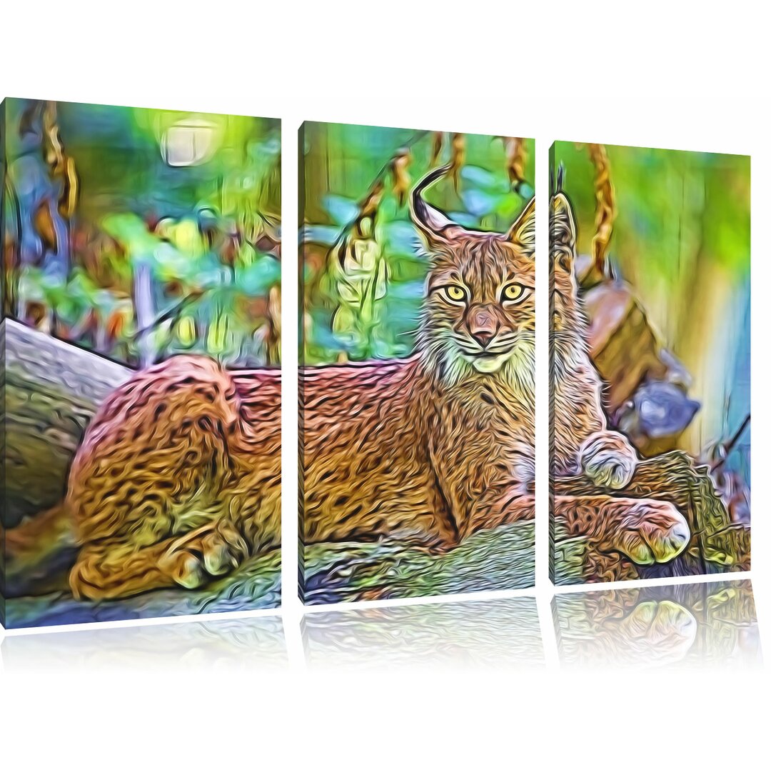 3-tlg. Leinwandbilder-Set „Aufmerksamer Luchs“, Grafikdruck