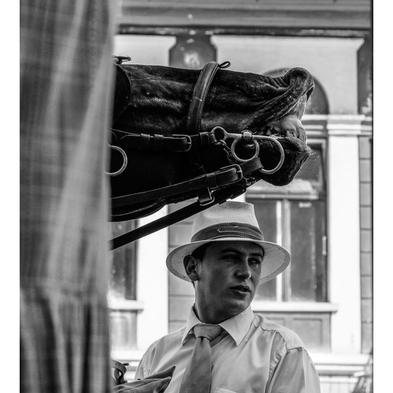 Wrapped Canvas Print, 81.28 cm H x 121.92 cm W