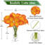 Arrangement in Vase-1009169566