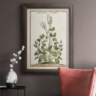 " Munting Botanicals V " Painting Print