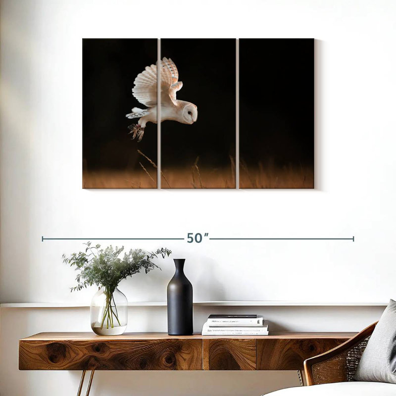 Brampt Barn Owl Beauty, 24" H x 38" W