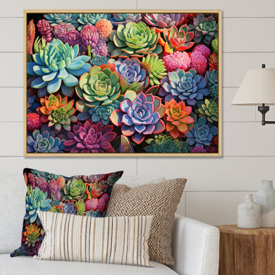 " Colorful Succulents Succulent Abundance "