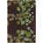 Beige / bleu / brun / vert n'est pas disponible