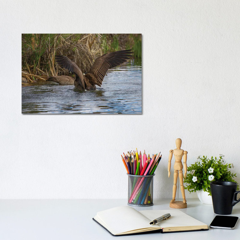 Bold And Beautiful by Louis Ruth - Wrapped Canvas Print, 20.32 cm H x 30.48 cm W