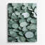 Aquarelle botanique 42, art mural gris en métal-350798823