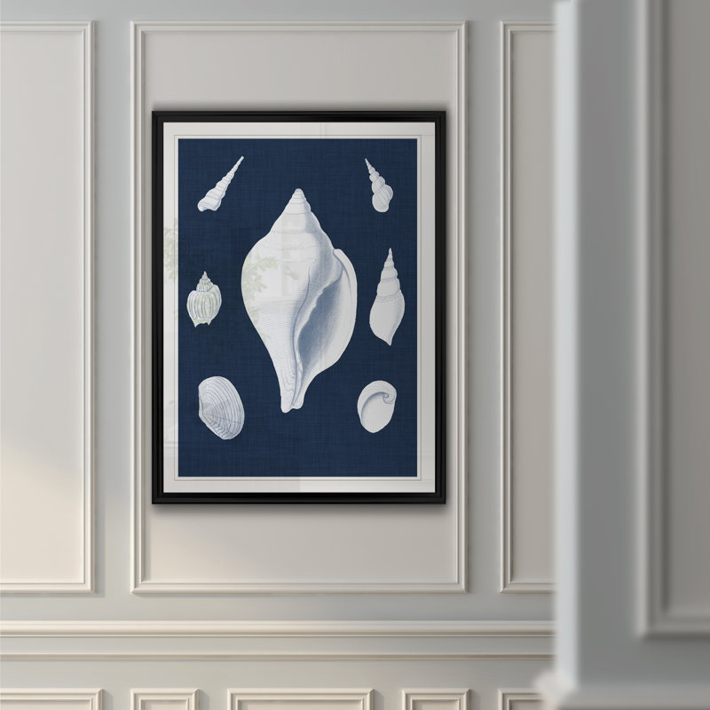 « coquillages blancs ii », impression sur toile, H 18,5 po x l 24,5 po x P 1,5 po, Noir