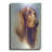 " Irish Setter " by Barbara Keith-1165501888