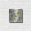 «Silver Quince I» par Chris Paschke-1984530358