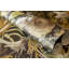 Tropical Collection Mo'orea Inspired Flowers and Birds 27.8' L x 27.5" W Wallpaper Roll-73447917