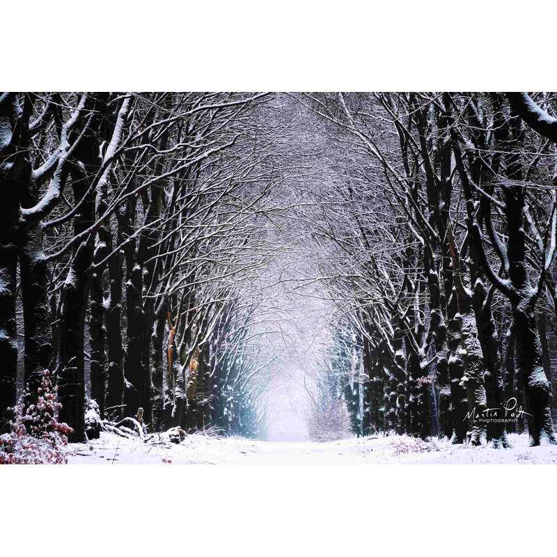 Winter Tunnel par Martin Podt - reproduction imprimée, H 8 po x l 12 po, Toile tendue