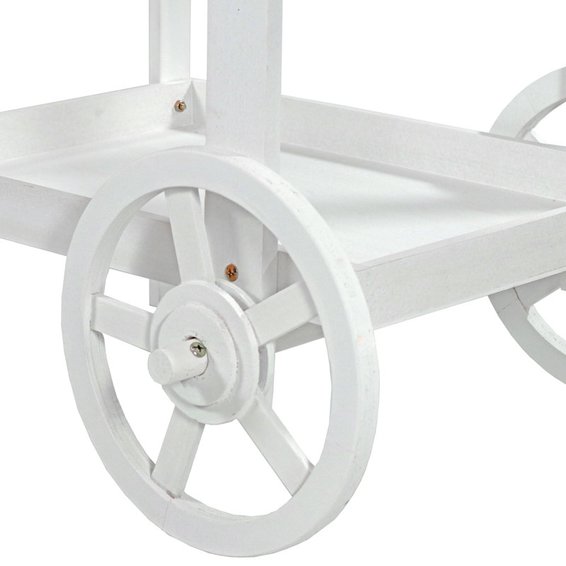 Quenby Wooden Flower Cart Plant Stand - 33.75" x 21.75" x 49.25" - White, White