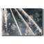 Toile tendue Celestial Glimmer-862789643