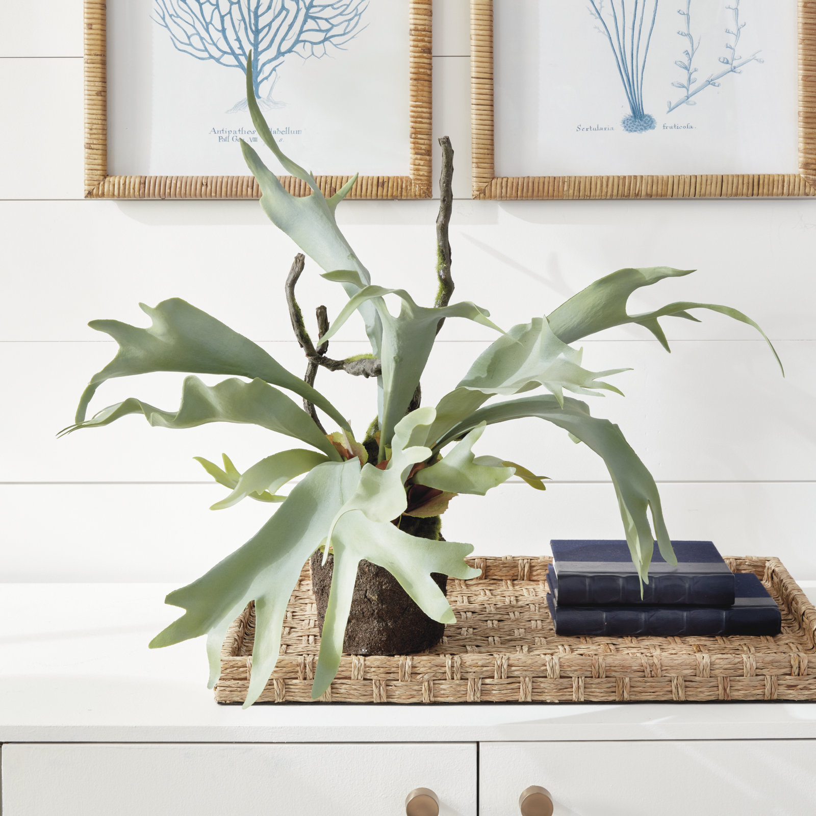 Cunha Faux Fern Plant, 22" H