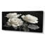 Monochromes en noir et blanc Roses Bloom II - Roses, art mural-1949004843-2053653029