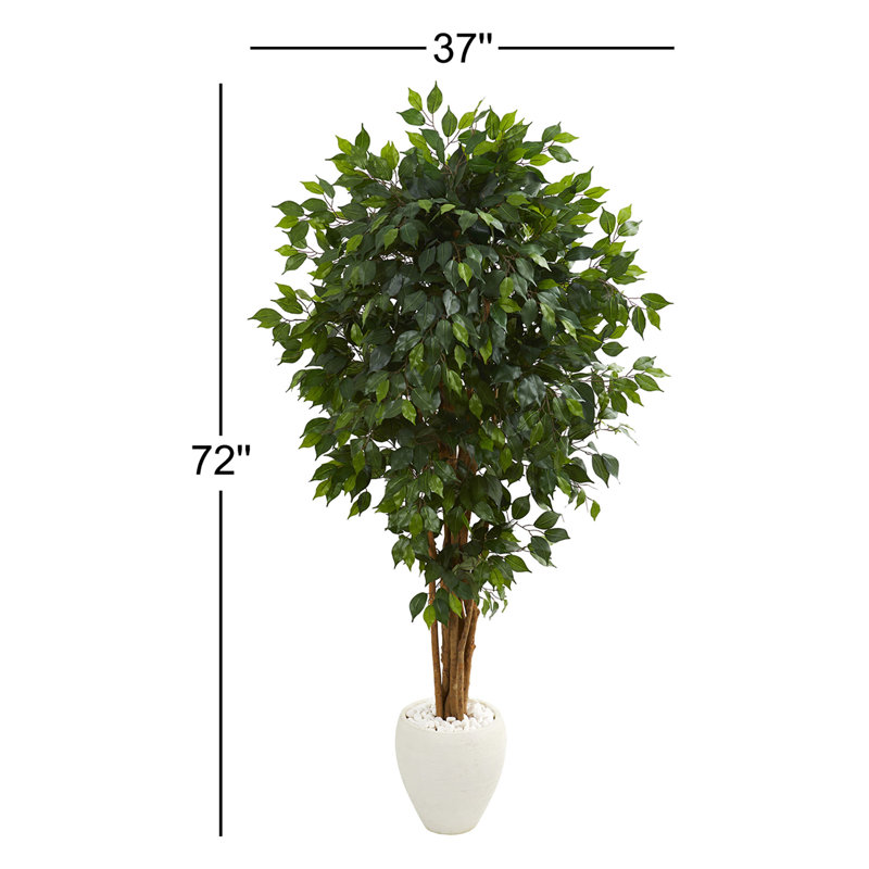 72'' Faux Ficus Tree in Ceramic Planter