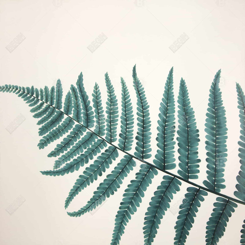 Belle fougère exotique sur toile verte | Décoration florale botanique, H 8 po x l 8 po
