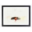 Lone Tree in the Serengeti in Tanzania in Abstract - Picture Frame Graphic Art Print-55759838-55759839