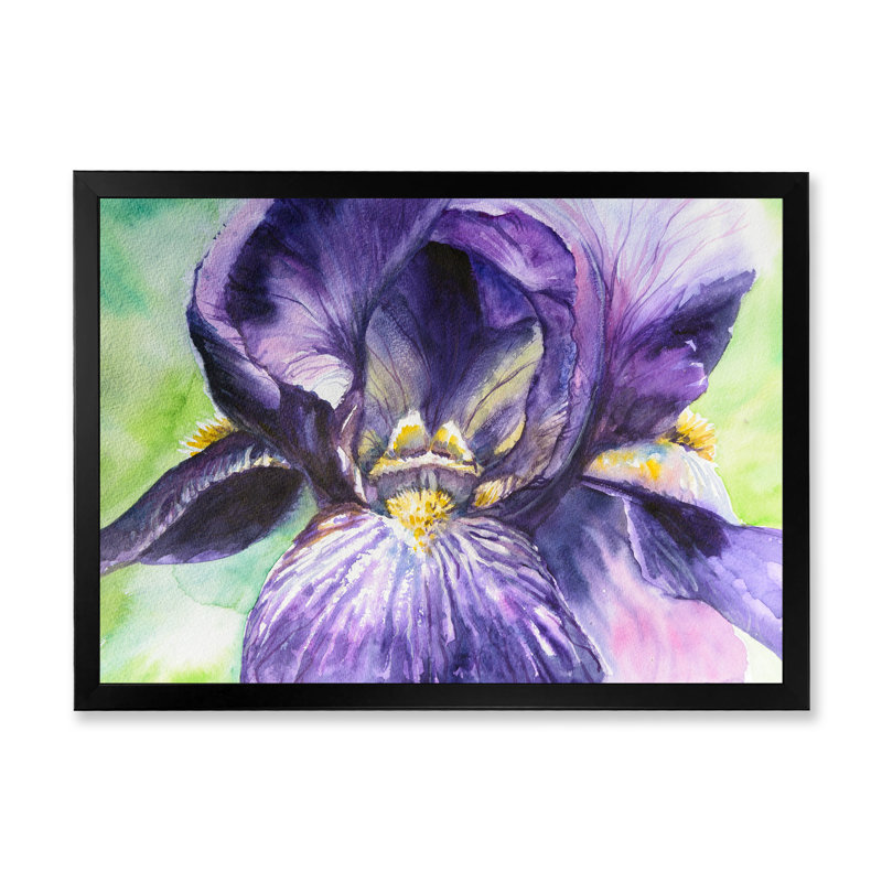 Aquarelle Iris fleur mauve - reproduction d'art sur toile, Cadre noir, H 8 po x l 12 po x P 1 po
