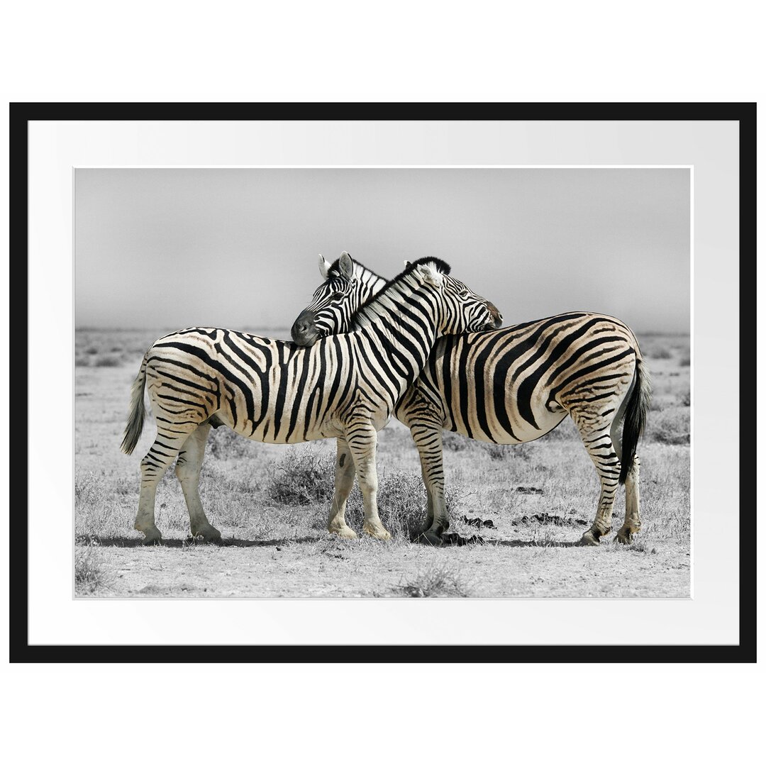 Gerahmtes Poster Zebras in der Savanne