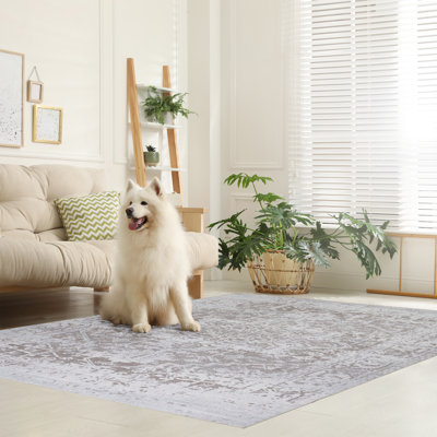Washable Oriental Indoor Rug