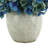 Hydrangea Arrangement in Vase-1432130999