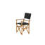 Padma Outdoor Patio Dining Armchair with Cushion