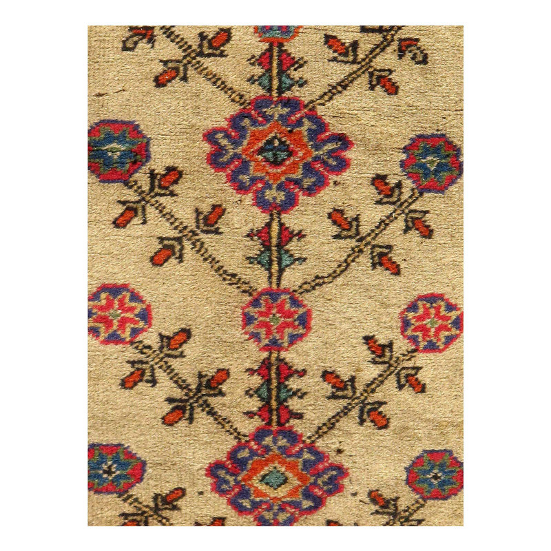 Mekyla Oriental Area Rug in Ivory