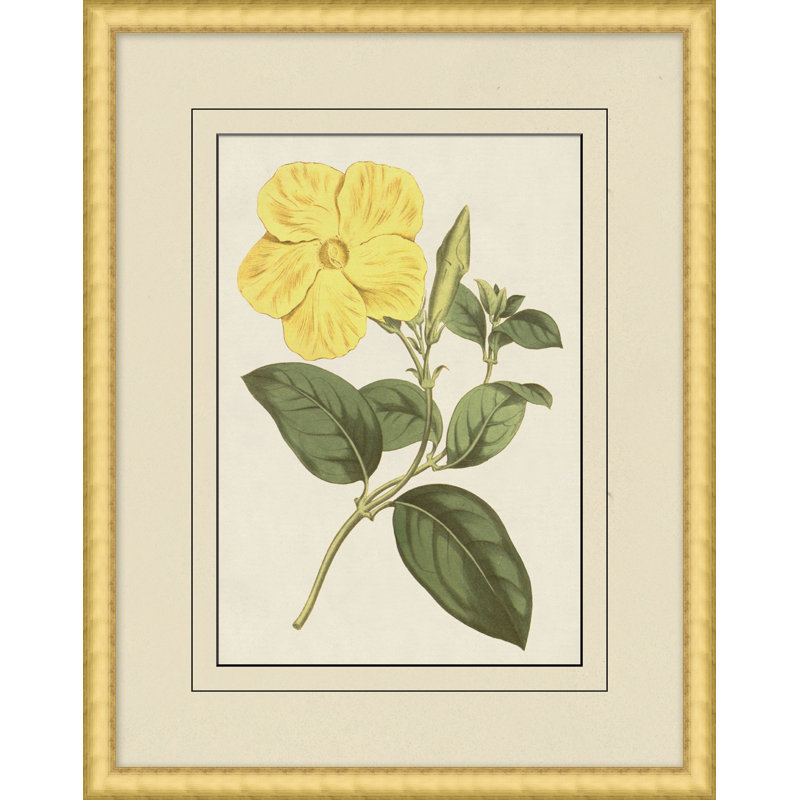 Fresh Flowers 4 Print