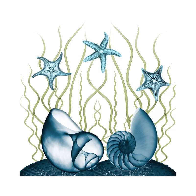 Majestic Sea Floor II by Albert Koetsier - Print on Canvas, 66.04cm H x 66.04cm W x 3.81cm D, Wrapped Canvas