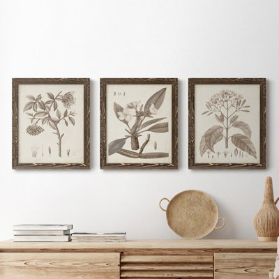 " Antique Sepia Botanicals I " 2 - Pieces