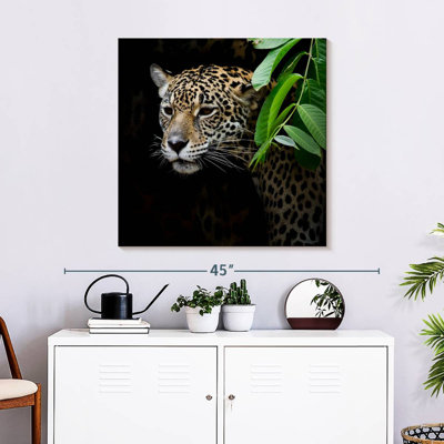 Brampt rôdant Jaguar