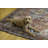 Jakobson Machine Washable Rust and Ivory Area Rug-1568371975
