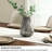 Solara Swirl 9" Ribbed Clear Black Glass Vase-977890660